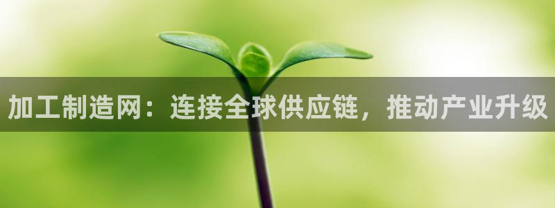 彩名堂人工计划客户端官网