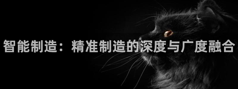 彩名堂官网2