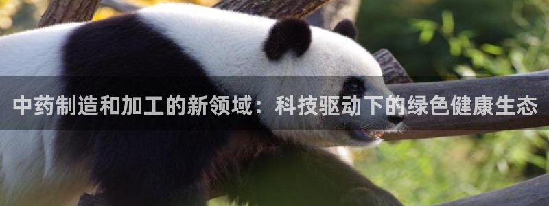 彩名堂和01计划哪个好