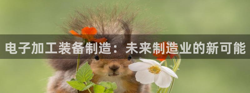 彩名堂合作655560