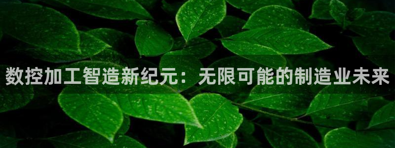 彩名堂幸运飞船计划