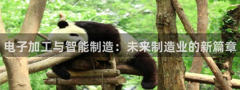 彩名堂客户端加拿大