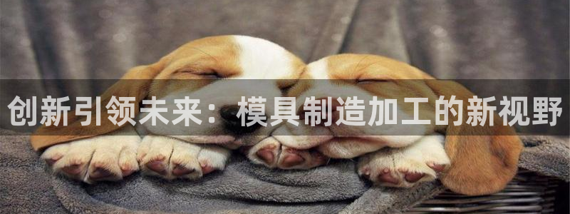 彩名堂为啥又不能用了