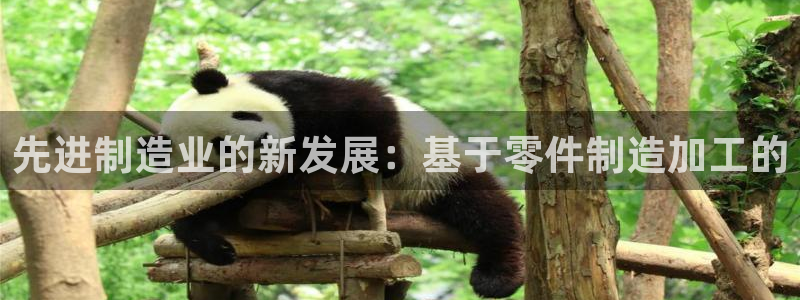 彩名堂免费计划官网5.0.0