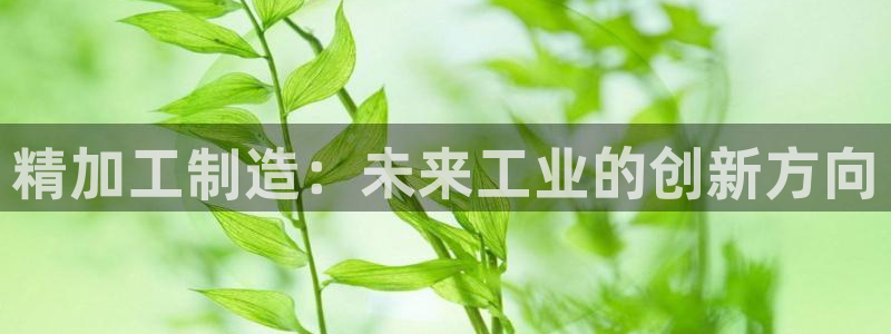 彩名堂官网网页计划