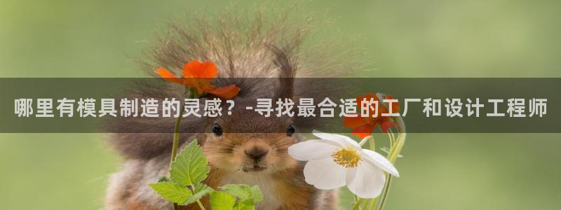 彩名堂人工计划客户端