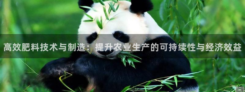 彩名堂人工计划怎么找不到下载了?