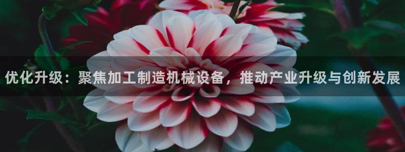 彩名堂app官方网址是多少