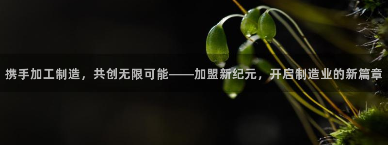 彩名堂合作655560