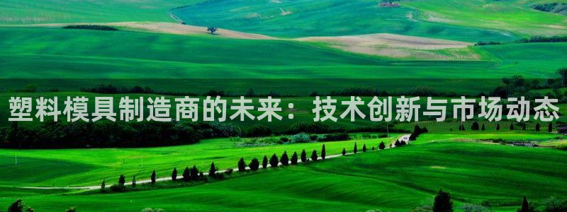 彩名堂跟哪种最好用