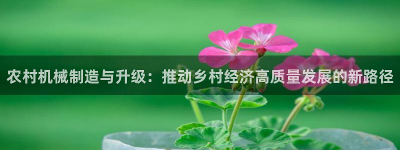 彩名堂是不是不能用了吗