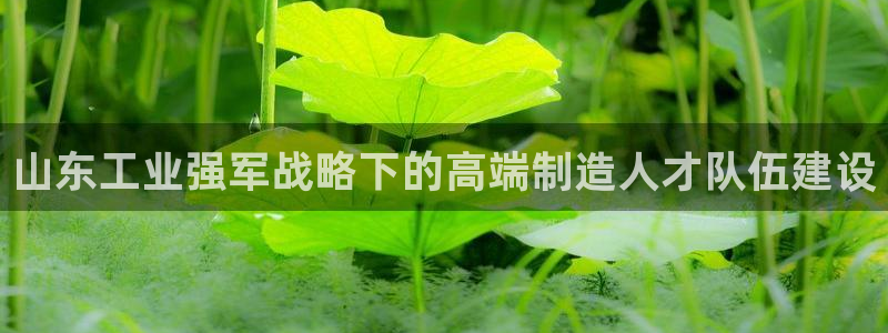 彩名堂怎么用不输