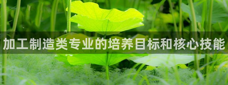 彩名堂app彩名堂客户端