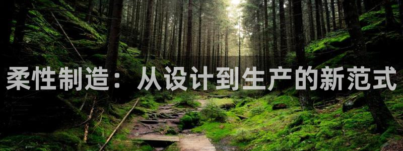 彩名堂最新免费计划官网