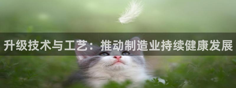 彩名堂人工计划客户端官网