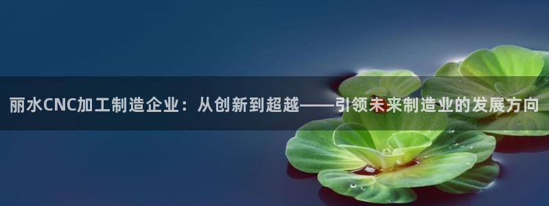 彩名堂是正规的公司吗