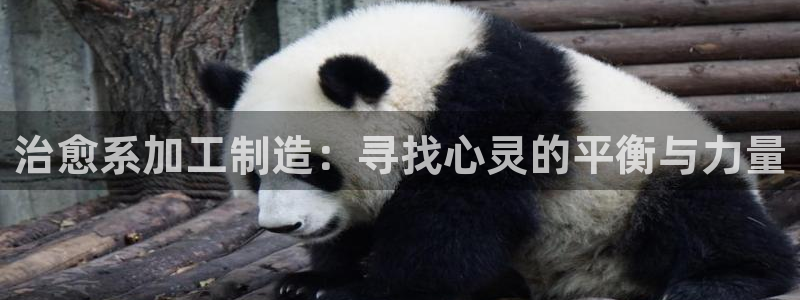 彩名堂移动客户端