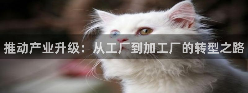 彩名堂官网在线计划怎么不更新了