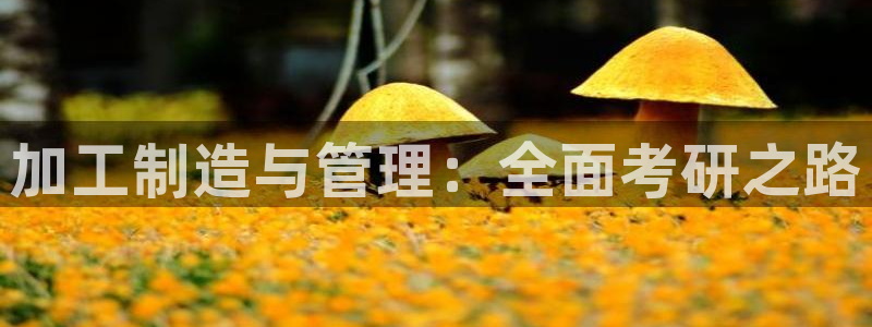 彩名堂移动客户端官网