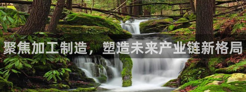 彩名堂预测软件