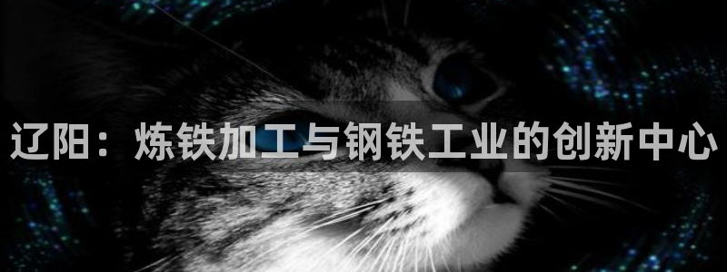 彩名堂计划最新版手机版