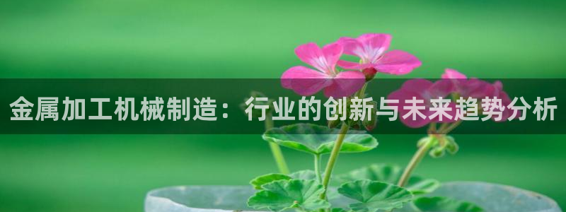 谁知道彩名堂网站是多少