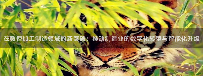 彩名堂彩