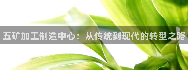 彩名堂官网网页计划