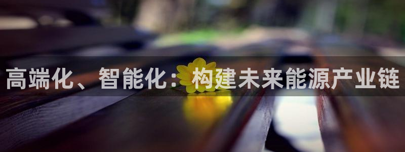 彩名堂不能用了吗