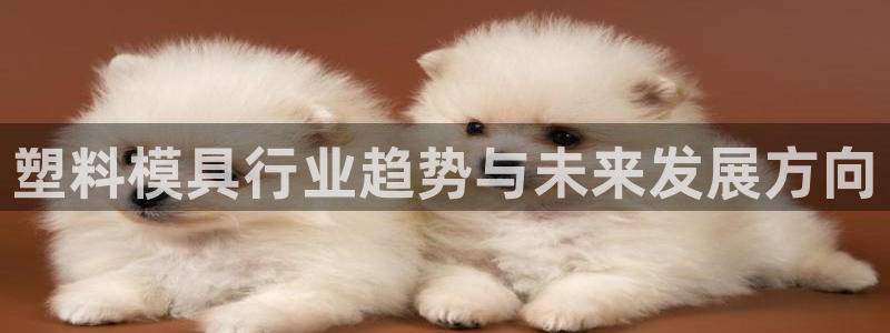 彩名堂4.3