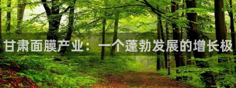 彩名堂使用方法