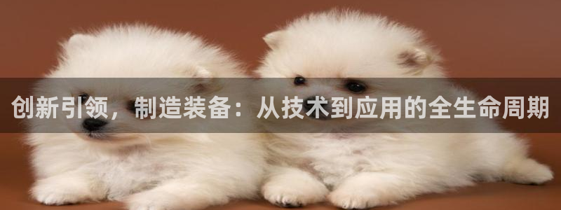 彩名堂怎么打不开了