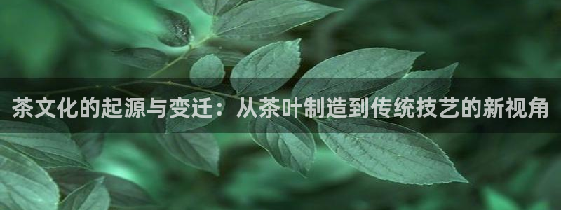 彩名堂预测